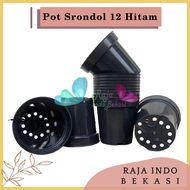 Pot Tinggi Srondol 12 Hitam - Pot Tinggi Paket murah isi 1 lusin 6pcs 3pcs 1pcs satuan pot bunga plastik lusinan pot tanaman Pot Bibit Besar Mini Kecil Sedang Pot Srondol 12 Hitam Pot Eiffel/USA12