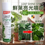 河田生活 - THEAOSON鮮葉光亮劑(200ml)│鮮切花保鮮劑│玫瑰百合植物通用型營養液│鮮花保鮮液