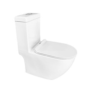 BARON | W818 1-Piece Toilet Bowl with Basin Package