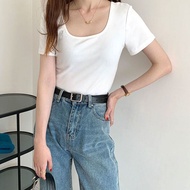 CHICCHIC 4 Colors Womens Cotton T-shirt Korean Fashion Square Neck T-shirts
