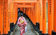 Kyoto and Nara Small Group 1-Day Tour: Nara Park Cute Deer, Kiyomizu-dera Temple, Fushimi Inari Tais