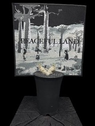 Monsonia peniculina 白皮月界 Geraniaceae 牻牛兒苗科 Monsonia 鳳嘴葵屬