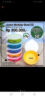 Mangkuk Junior Modular Bowl (1)
