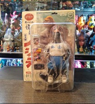 巨大版好吉拉 Goodzila 非 Bandai hottoys shm xplus sofubi 哥斯拉 膠品