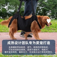 Portable Dog Dog Portable Strap Upstairs Strap Auxiliary Rehabilitation Dog Traction Strap Exercise 