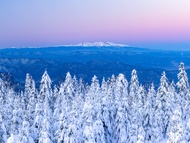 6-Day Secret Northeast Yanji Changbai Mountain Tour