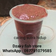 pakan ikan cacing sutra hidup segar 1 gelas