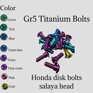 GR5 DISK BOLTS WITH COLAR SALAYA HEAD