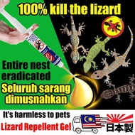 1 drop kills all lizardslizard killer UMPAN GEL CICAK Prevention & Trapping Chain Killing Technology