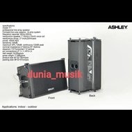 speaker line array ashley f1 passif Bi-amp system 10inch original