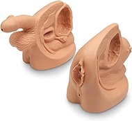 Male Female Catheter Anatomy Model Set Anatomy Catheterization Model,Male Female Catheterization Mod