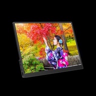 實體門市發售🔥 行貨🌟 ZOHO Z15P-V3 可攜顯示器