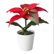 PUTIH Fejka VINTERFEST POINSETTIA - artificial Flower Plant With White pot - 6cm