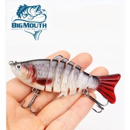 [ 🇲🇾  READY STOCK MALAYSIA] Gewang Lampam / Gewang Siakap Killer/ Gewang Sebarau Pancing / Fishing L