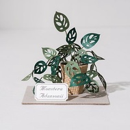 【洞洞蔓綠絨】 紙模型 紙植栽 材料包 紙風景 S| 9028403