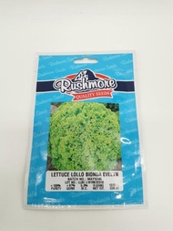 RUSHMORE EVELYN LETTUCE SEEDS