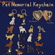 LUMINAR Puppy Photo Keychain, Fashion Cute Dogs Keychain, Beagle Exquisite Creative DIY Pet Hair Sto