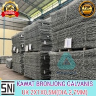Bronjong Wire size 2 x 1 x 0.5 - mesh size 2.7mm (100x120mm)