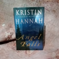Angel falls by kristin hannah