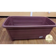 Long Planting Dark Green Chocolate Crimson Wood Stripes Flower Vegetable Pot Fruit Tray Pasu Panjang 41.5cm*20cm