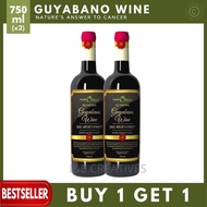 BUY 1 TAKE 1 Zynergia Guyabano Wine By Doc Atoie 750ml [BEST SELLER WiNE] 100% AUTHENTIC GUYABANO WI