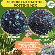 Succulent/Cactus Potting Mix  Soil Less  Premium Quality Mix enriched Fast Draining Buy 10L get 1L f