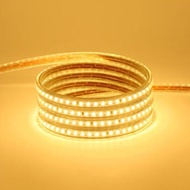 [PERMETER] Lampu Strip LED 2835 SMD 36 Selang LED 220V IP65 Lampu Strip