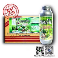 ยกลัง 12 ขวด  กอเงิน แมกนีเซียม 4% ช่วยแตกกอ แก้ปัญหาข้าวไม่กินปุ๋ย พืชใบเขียวตั้ง ต้านทานโรคและแมลง