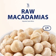 Raw Macadamia Nuts 1KG Healthy Snacks Wholesale Quality Fresh Tasty