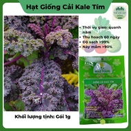 Purple Kale Seeds are easy to grow and nutritious (1g pack)