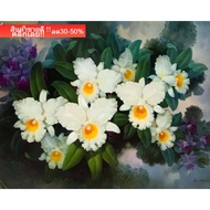 Natural View To Enhance Feng Shui Home Decoration Pictures Wall Picture Image Size 16x20 Inches Or (