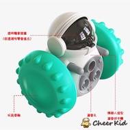 Pet Food Ball Robot
