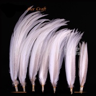30I38h white Silver Pheasant Tail Feathers/lady amherst/chicken feathers plume狂欢节装饰