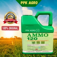 4 LITER ANCOM AMMO 120 HERBICIDE 12.1% RACUN RUMPUT/ RUMPAI (WEEDS CONTROL) /LALANG / RACUN SERAP