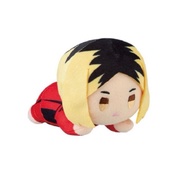 Haikyuu 10th anniversary ichiban kuji D prize Kenma plush