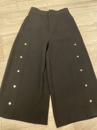 Zara pants