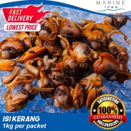 [HOT STOCK] Isi Kerang / Clam Meat 1 Packet 1 Kg