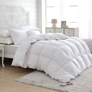 鴻宇 威爾斯羽絨被 匈牙利90%羽絨 台灣製(雙人/加大)