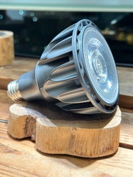 Helios Green LED Bulb 植物燈 HG24