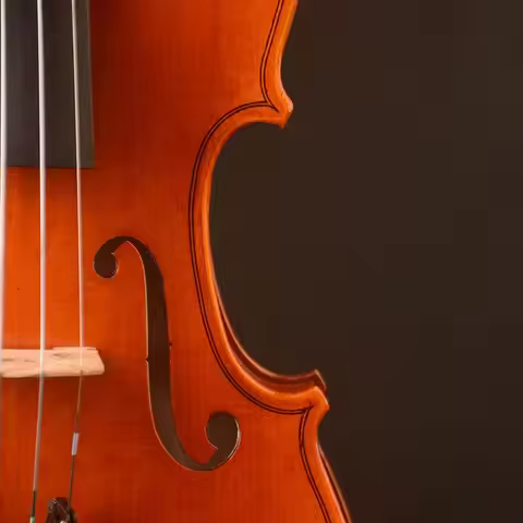 2025 Strad model copy 3/4 Size! Best Model! A T20 Violin , Best tone,1pc back