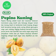 ( 10 Butir ) Benih Biji Buah Pepino | Pepino Kuning | Melon Pepino