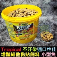 【小魚水族】【波蘭Tropical德比克 增豔維他黏貼飼料 分裝 1入】貼碇、貼片、小型魚、燈科魚、孔雀魚、沉底飼料、底