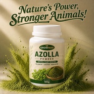 Azolla Powder Natural Plant Feed Additive Poultry Livestock Aquaculture Growth Support Feed Mix BBS