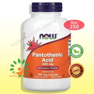 NOW PANTOTHENIC ACID 500 mg 250 Capsules -- Vitamin B5