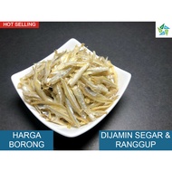 [BORONG] IKAN BILIS MATA BIRU GRED 5A (KOPEK) (500g)