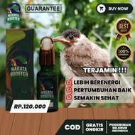 Nagata Booster 100% Original | Vitamin Booster Is A Powerful Solution To Finish Saving - Dull Feathe