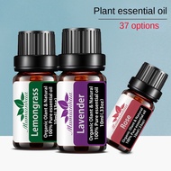SG Seller 100%$ Pure Essential Oil Essence Aromatherapy Diffuser Water Base 10ml Lavender eucalyptus lemongrass