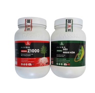 Combo Phân bón DASSHU Z1000+ Magie-kẽm (hũ 1kg) siêu kích rễ đi đọt nhanh xanh cây dày lá trị các bệ