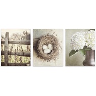 Neutral Beige Shabby Chic Farmhouse Wall Art Set of 3 SMALL 5x7” Vertical Photo Prints Not Framed Ne