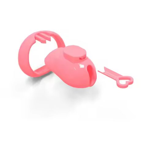 New Holy Trainer V5 Non-disposable Permanent Forever Lock Male Chastity Cage Devices with 4 Size Rin